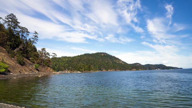View of forested island from the beach with blue sky and water in the foreground.