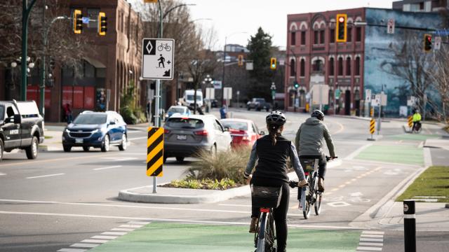 Cyclists biking along the bike lanes in Victoria on a busy street.