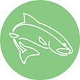 Circle Green Icon with Salmon Inside